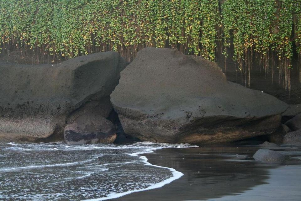 Istana Balian - Boutique Hotel Resort Selemadeg  Eksteriør billede
